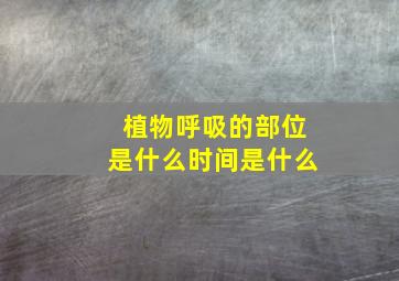 植物呼吸的部位是什么时间是什么