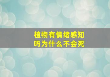 植物有情绪感知吗为什么不会死