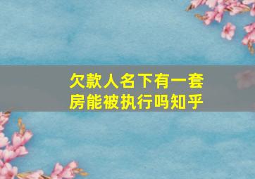 欠款人名下有一套房能被执行吗知乎