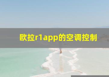 欧拉r1app的空调控制