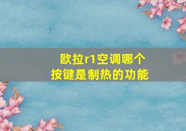 欧拉r1空调哪个按键是制热的功能