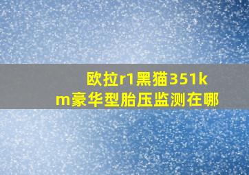 欧拉r1黑猫351km豪华型胎压监测在哪