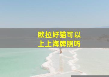 欧拉好猫可以上上海牌照吗