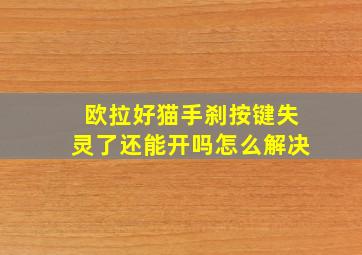 欧拉好猫手刹按键失灵了还能开吗怎么解决