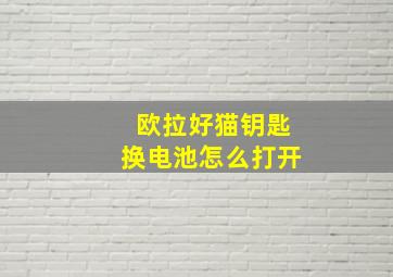 欧拉好猫钥匙换电池怎么打开