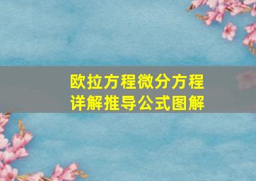 欧拉方程微分方程详解推导公式图解