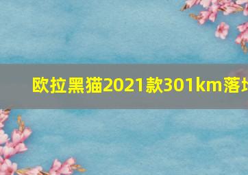 欧拉黑猫2021款301km落地