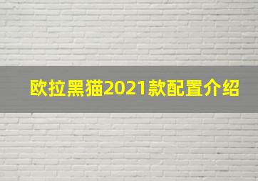 欧拉黑猫2021款配置介绍