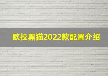 欧拉黑猫2022款配置介绍