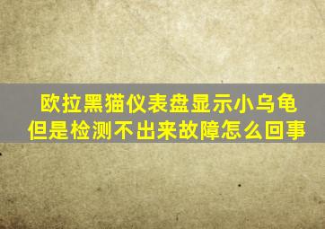 欧拉黑猫仪表盘显示小乌龟但是检测不出来故障怎么回事