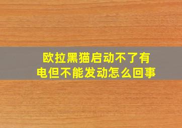 欧拉黑猫启动不了有电但不能发动怎么回事