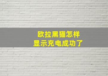 欧拉黑猫怎样显示充电成功了