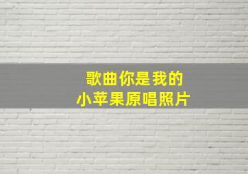 歌曲你是我的小苹果原唱照片