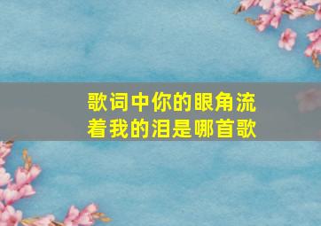 歌词中你的眼角流着我的泪是哪首歌