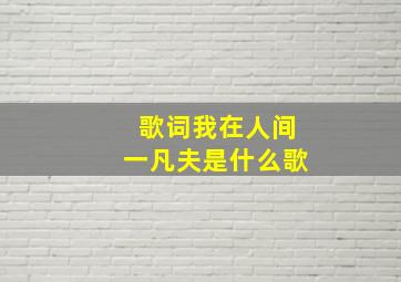 歌词我在人间一凡夫是什么歌