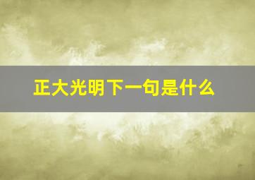 正大光明下一句是什么