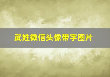 武姓微信头像带字图片