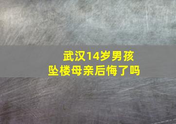 武汉14岁男孩坠楼母亲后悔了吗