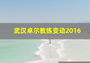 武汉卓尔教练变动2016