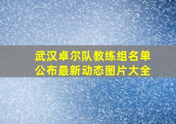 武汉卓尔队教练组名单公布最新动态图片大全