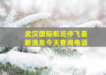 武汉国际航班停飞最新消息今天查询电话