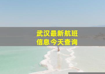 武汉最新航班信息今天查询