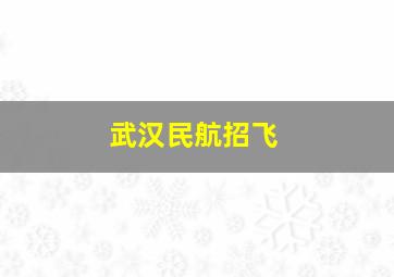 武汉民航招飞