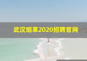 武汉烟草2020招聘官网