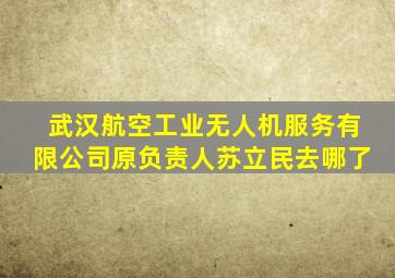 武汉航空工业无人机服务有限公司原负责人苏立民去哪了