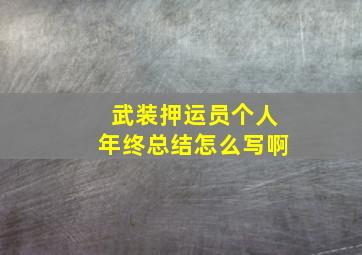 武装押运员个人年终总结怎么写啊