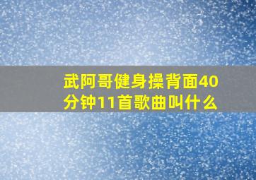 武阿哥健身操背面40分钟11首歌曲叫什么