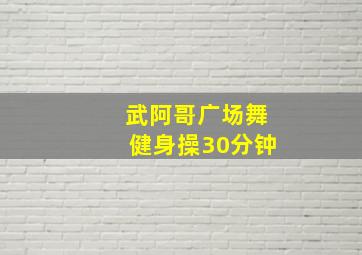 武阿哥广场舞健身操30分钟