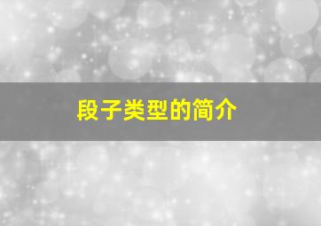 段子类型的简介