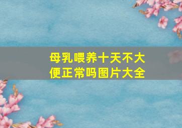 母乳喂养十天不大便正常吗图片大全