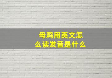 母鸡用英文怎么读发音是什么