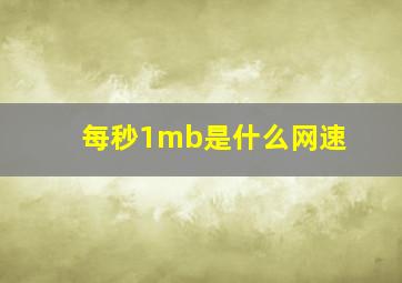 每秒1mb是什么网速