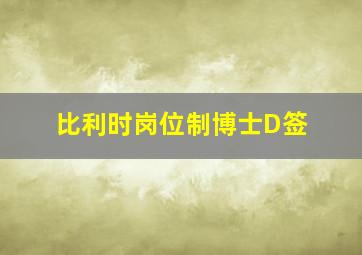 比利时岗位制博士D签