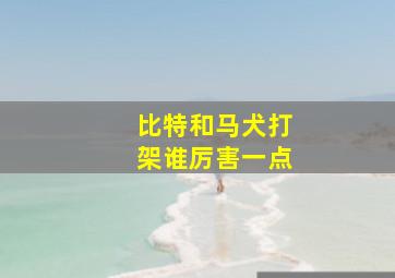 比特和马犬打架谁厉害一点