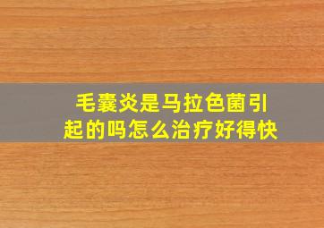 毛囊炎是马拉色菌引起的吗怎么治疗好得快