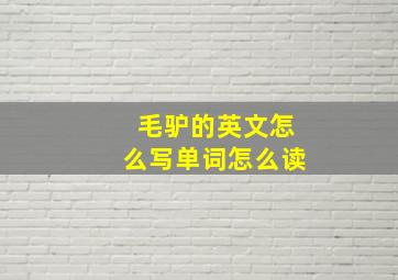 毛驴的英文怎么写单词怎么读