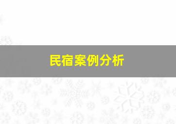 民宿案例分析