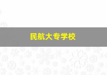 民航大专学校