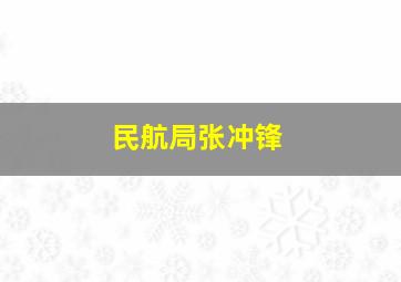 民航局张冲锋