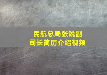 民航总局张锐副司长简历介绍视频