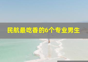 民航最吃香的6个专业男生