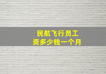 民航飞行员工资多少钱一个月