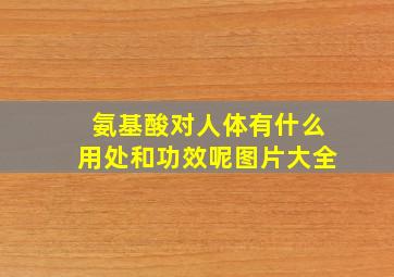 氨基酸对人体有什么用处和功效呢图片大全