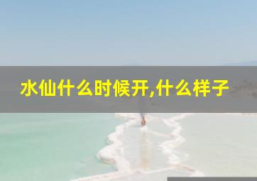 水仙什么时候开,什么样子