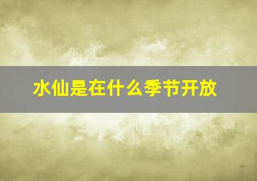 水仙是在什么季节开放