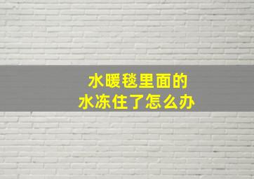 水暖毯里面的水冻住了怎么办